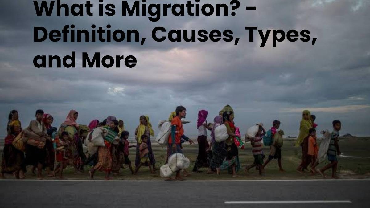 What is Migration? – Definition, Causes, Types, and More