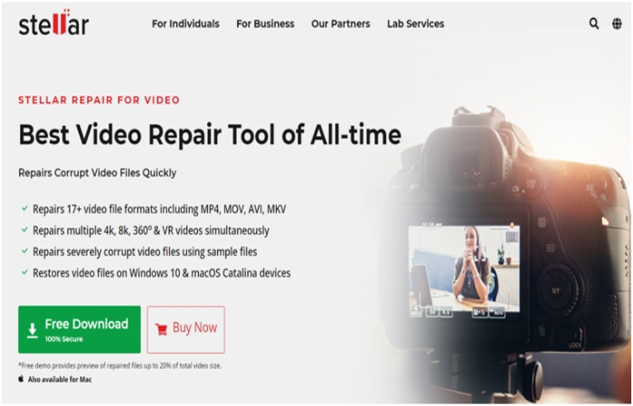 Stellar repair for video
