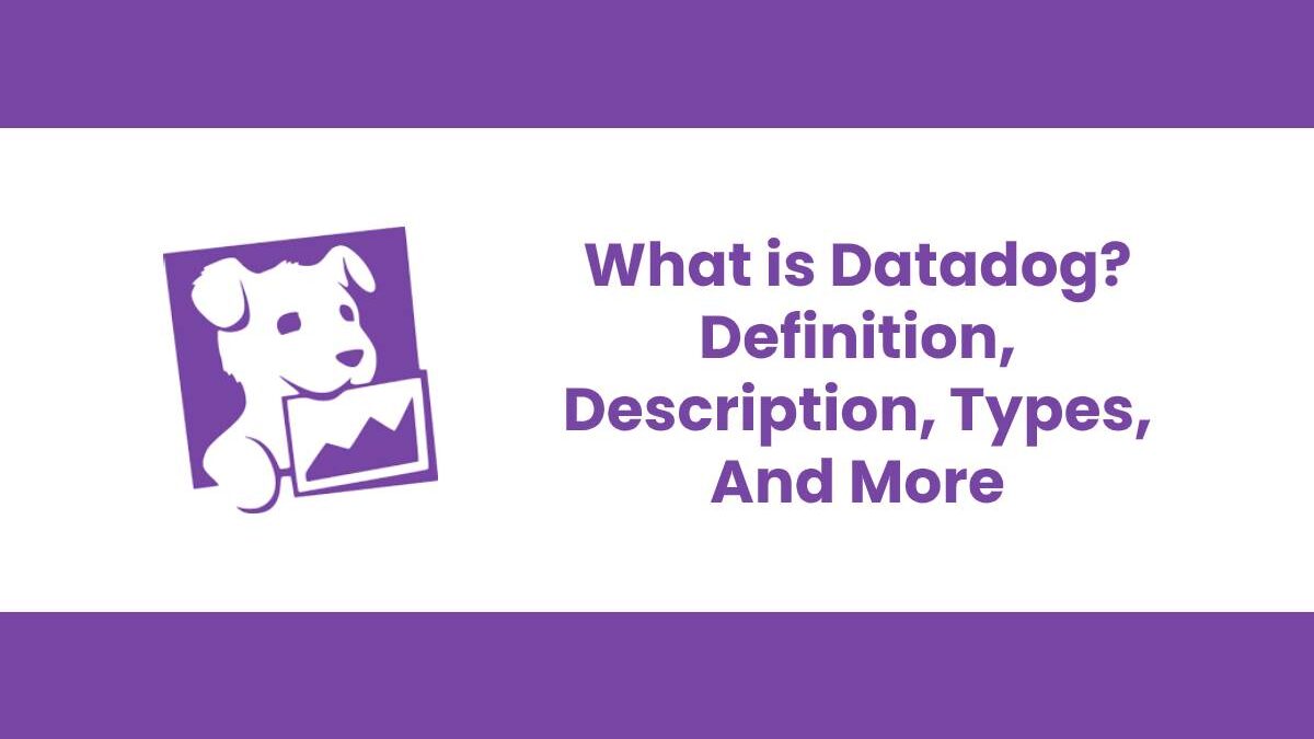 What is Datadog? – Definition, Description, Types, And More